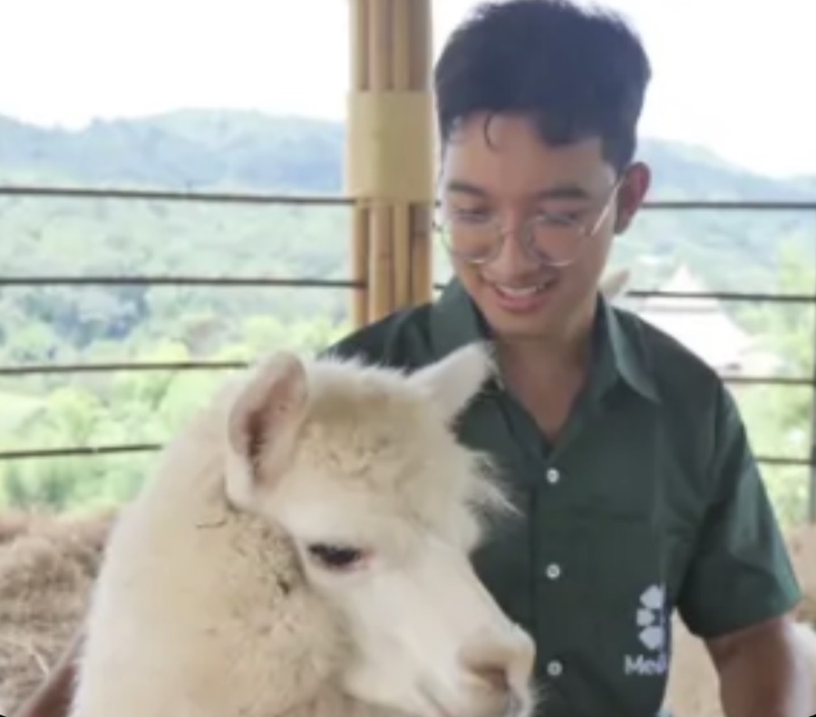 เป๊า